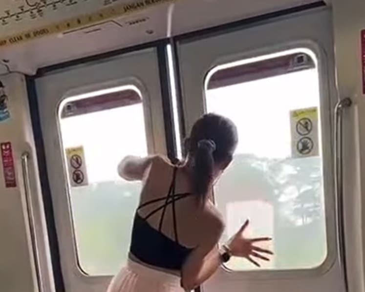 Man seen in viral video trying to force open MRT train doors charged with public nuisance
