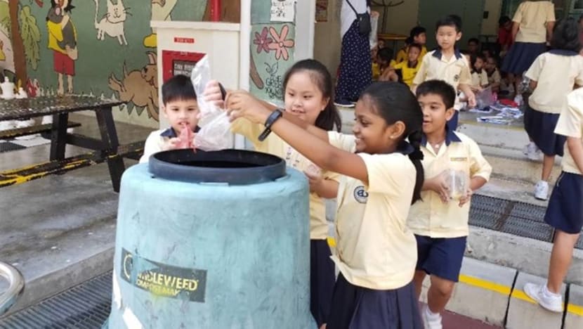 Commentary: Sustainability cannot just be taught in geography lessons Commentary: Sustainability cannot just be taught in geography lessons