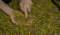 Commentary: Methanol, pistachios and cement - other Iranian exports choked by the war