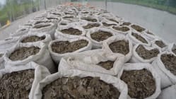Related article image