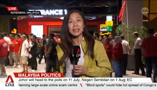 Malaysia state elections: Johor votes on Jul 11, Negeri Sembilan heads to polls on Aug 1