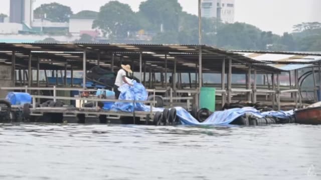 以免受漏油事件影响 本地养鱼场采取应急措施