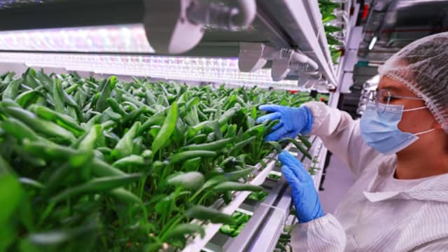 食品局拨款4200万元 资助11个研究项目