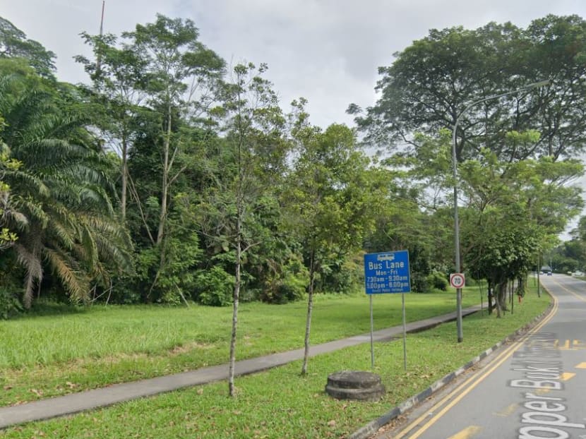 A view along Upper Bukit Timah Road.