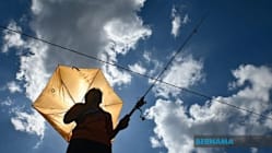 Related article image