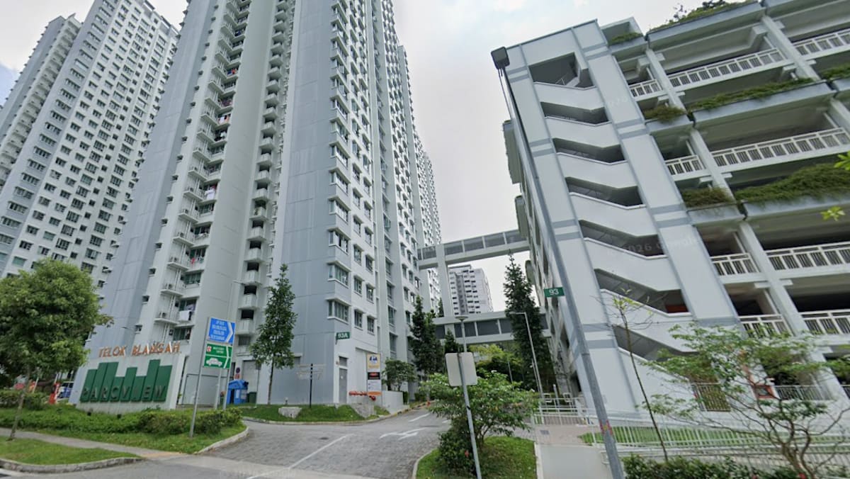 HDB to review flat conversion scheme after concerns raised over Telok Blangah resale listing