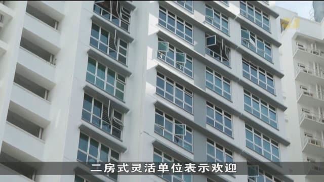 政府推出预购组屋分类法 受访议员表示这做法具包容性