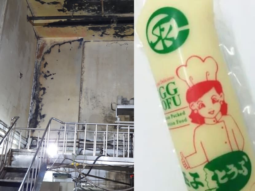 Tofu manufacturer fined for hygiene lapses including 'widespread' cockroach infestation