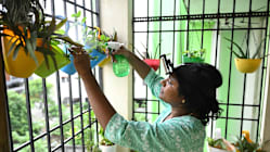 Related article image