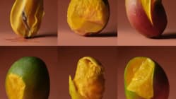 Khasiat buah mangga; tinggi kandungan gula tetapi kaya serat, vitamin C dan kalium