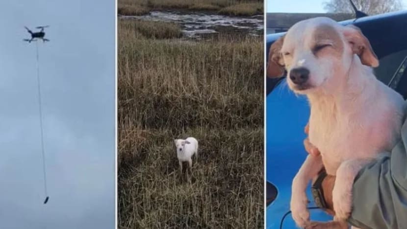 Pasukan penyelamat Britain pikat anjing dalam bahaya dengan sosej berjuntai dari dron   