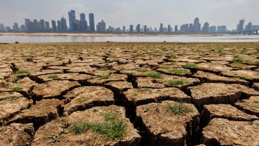 China hit by searing temperatures as Asia braces for extreme summer China hit by searing temperatures as Asia braces for extreme summer