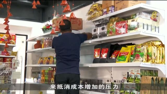 斯里兰卡已连续多个月 面临粮食和燃料短缺问题
