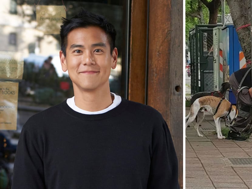 Eddie Peng Praised For Cleaning Up After His Dogs In Public