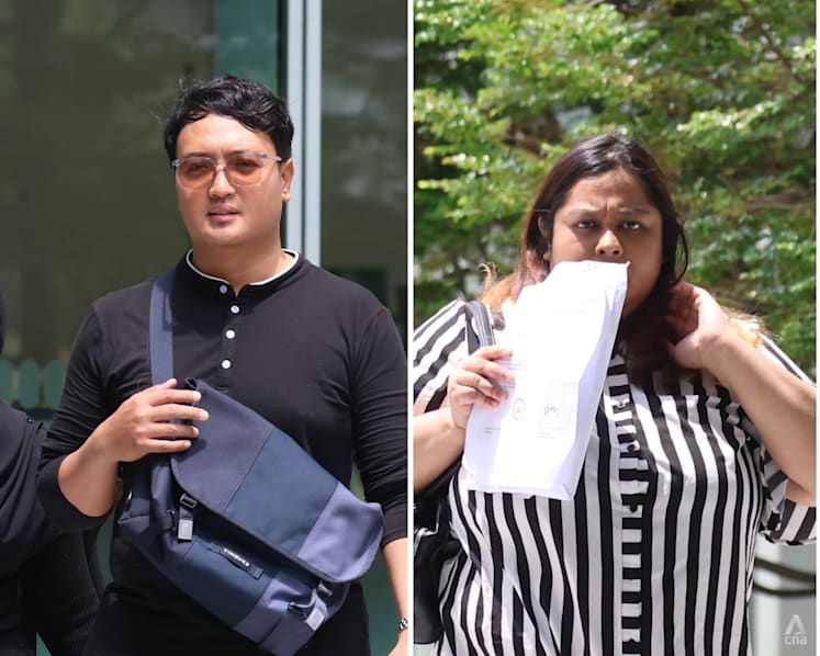 Duo charged over alleged neglect of 71 cats; 9 died in Bukit Panjang flat