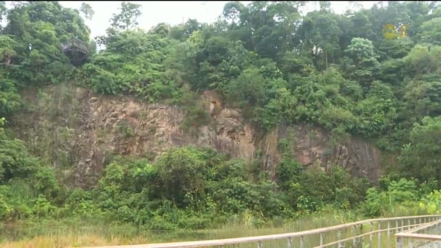 本地16个公园和建筑项目 获公园局卓越景观评定框架认证