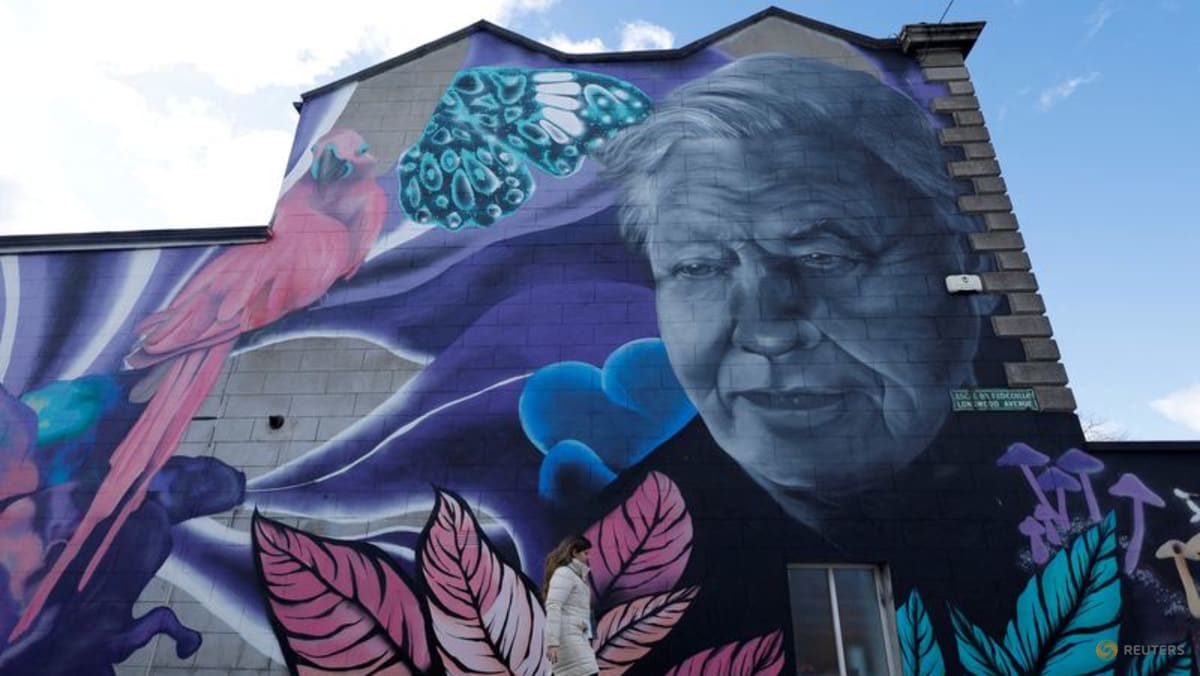 David Attenborough centenary celebrations start with closer look at 'Life on Earth'