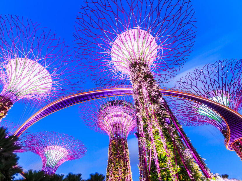 Singapore's Gardens By The Bay is 8th best attraction in the world, according to Tripadvisor Singapore's Gardens By The Bay is 8th best attraction in the world, according to Tripadvisor