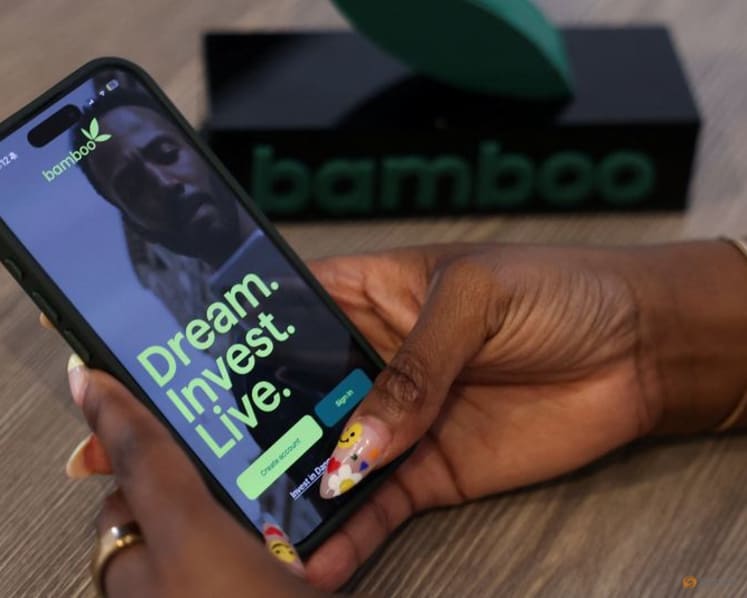 Dangote IPO tests Nigeria's fintech infrastructure as investor demand overwhelms platforms