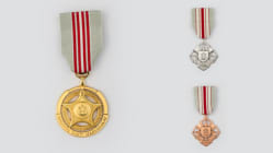 Related article image