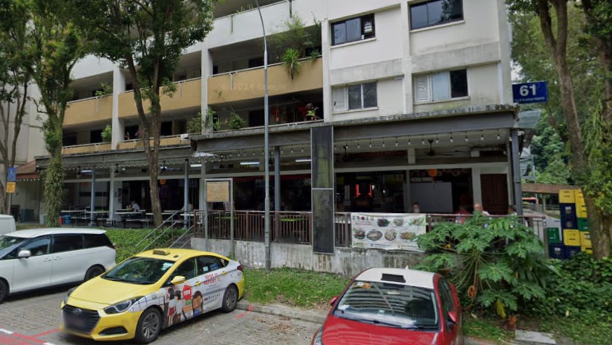 Photo: channelnewsasia.com Telok Blangah Murder Suspect Charged After Deadly Attack