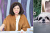 Taiwanese media personality sisy chen dog saves her life