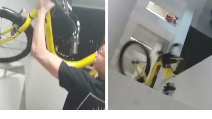 ofo considering legal action over bicycle abuse video
