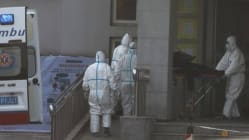 Related article image