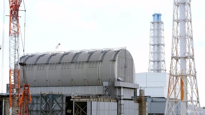 Nuclear power at heart of new Japan PM's energy policy Nuclear power at heart of new Japan PM's energy policy
