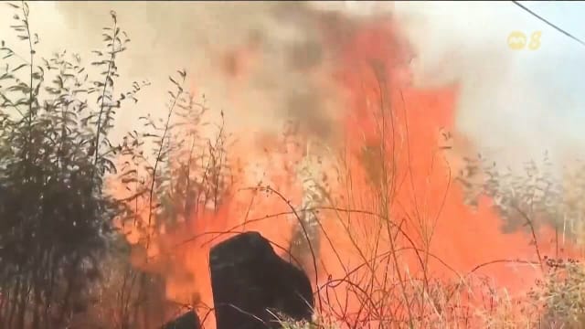 西班牙热浪周一刚结束 估计导致逾1100人丧命