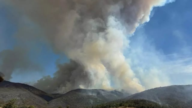 澳洲丛林大火肆虐 维多利亚州宣布进入灾难状态