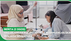 BERITA (2 Ogos) | Had bilangan kucing antara kebimbangan skim penjaga sementara