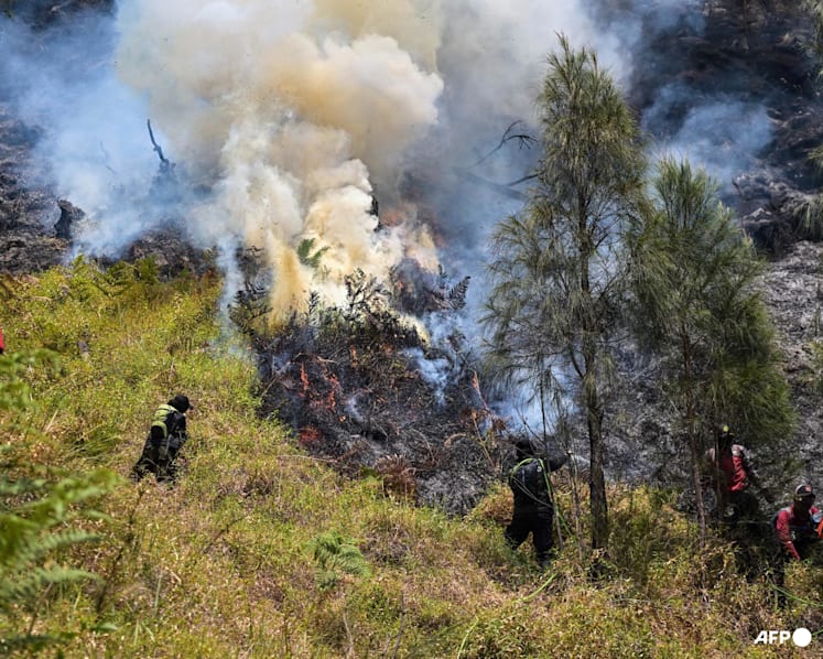 Indonesia closes all access to Mount Bromo as wildfire expands