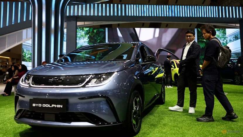 BYD's annual profit drops for first time in four years as price war hurts margins