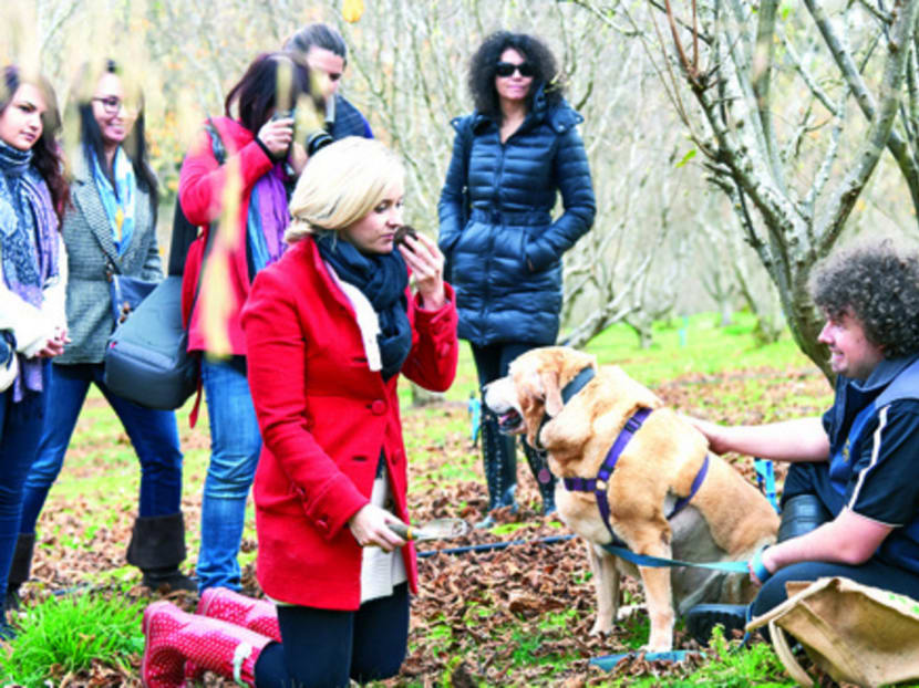 Usual destinations, unusual experiences