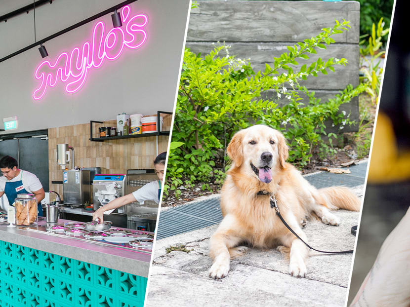 Pet-friendly café Mylo’s at Gardens By The Bay boasts over 20 flavours of gourmet gelato created by the head chef of fine-diner, Pollen. Pet-friendly café Mylo’s at Gardens By The Bay boasts over 20 flavours of gourmet gelato created by the head chef of fine-diner, Pollen.