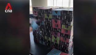 ICA foils smuggling of more than 37,000 vape products at land borders so far this year 