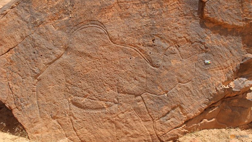 Ancient Arabian desert rock art showing camels marked water sources