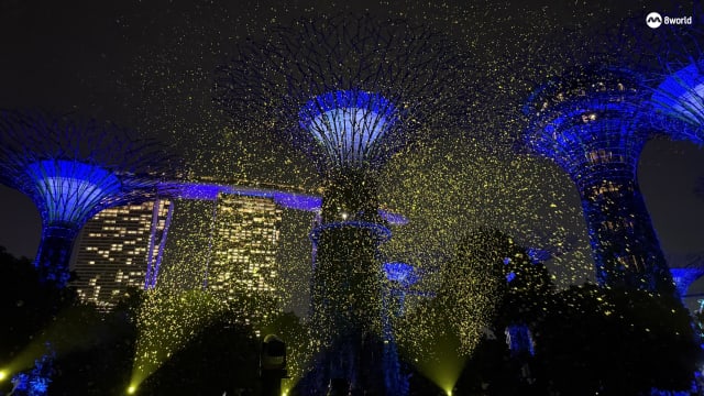 环保“光点”照亮滨海湾花园夜空 胡姬花展欢庆国庆