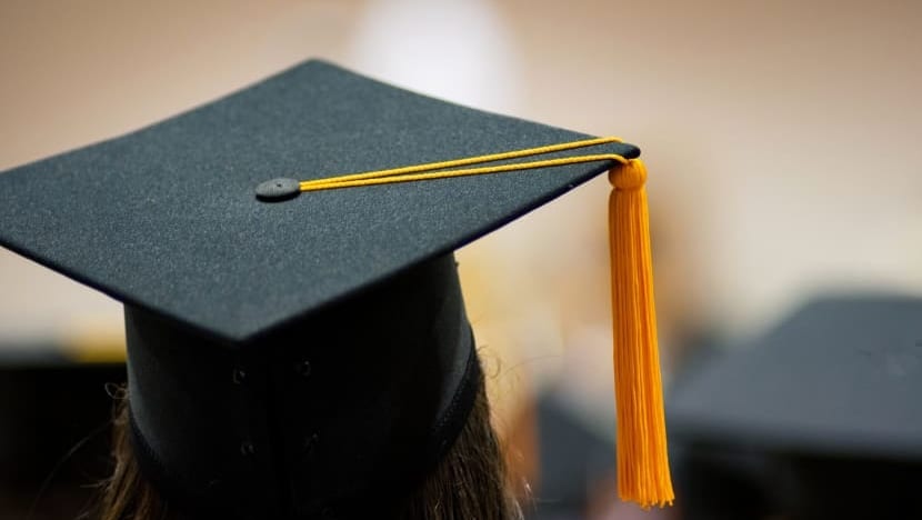 Time stamp on degrees: MP Ang Wei Neng says aim was to stress need to continually upskill