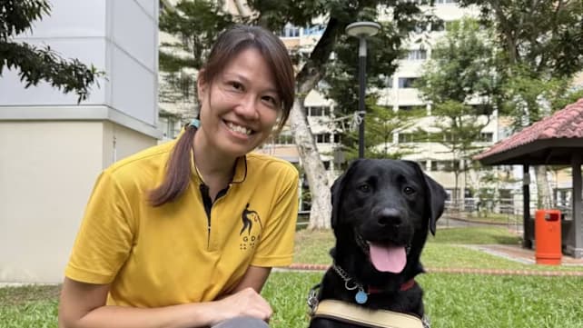 Kisah perempuan pelatih anjing pemandu, membuka jalan kemandirian bagi penyandang tunanetra