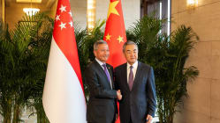Related article image