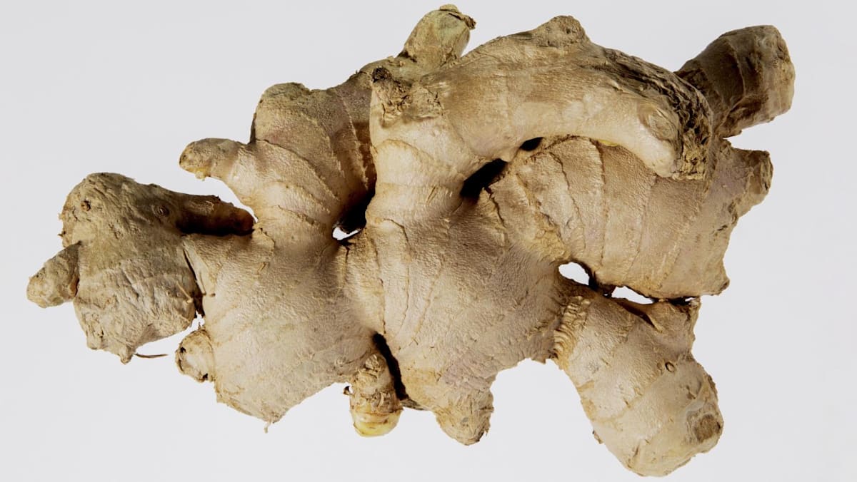 Can ginger really settle an upset stomach? Doctors weigh evidence on nausea relief