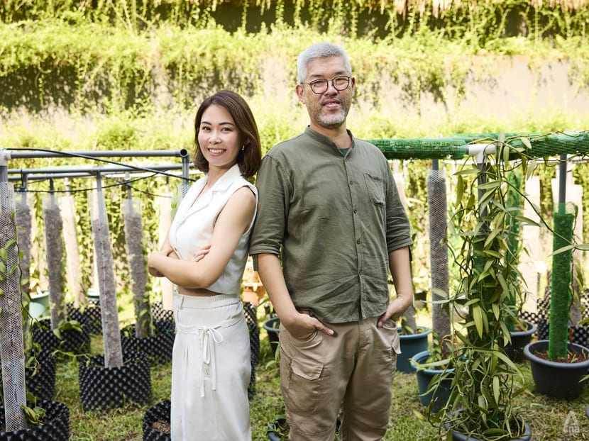 How these vanilla farmers in Singapore took their plants from HDB corridors to luxury hotels