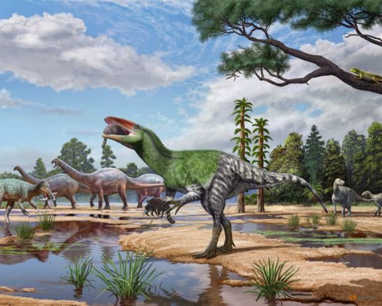 Isle of Wight fossil sheds light on enigmatic meat-eating dinosaurs
