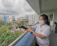 Releasing mosquitoes to fight dengue: How Singapore took Project Wolbachia from lab to heartlands