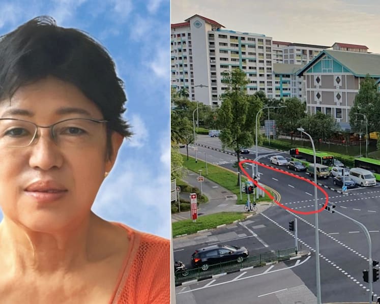 Van driver who dragged pedestrian along road, killing her after making discretionary left turn, gets jail