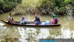 Related article image