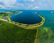 Commentary: NDR 2026 – if Singapore can plan 50 years ahead for infrastructure, can it do the same for nature?