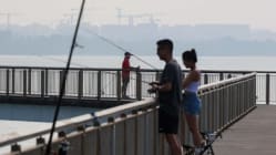 Related article image